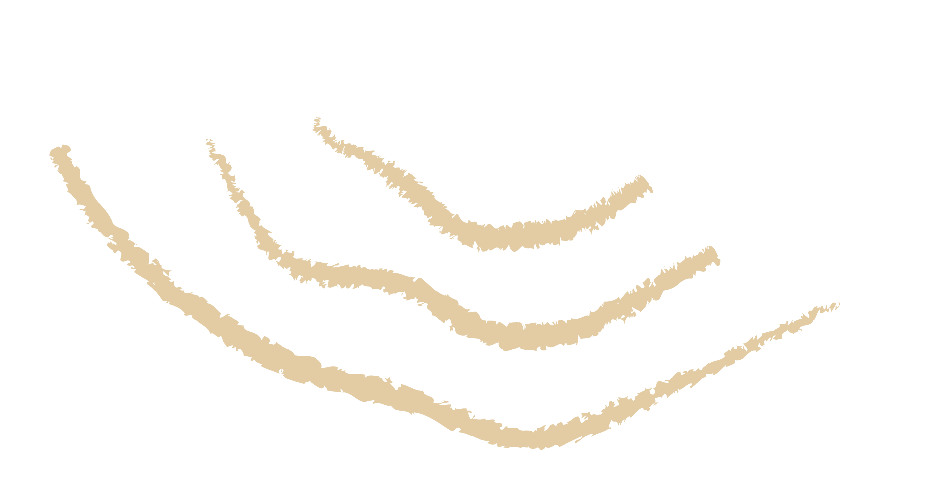Elementos gráficos PNG 33 Artboard 58 Elementos gráficos PNG 33 Artboard 58